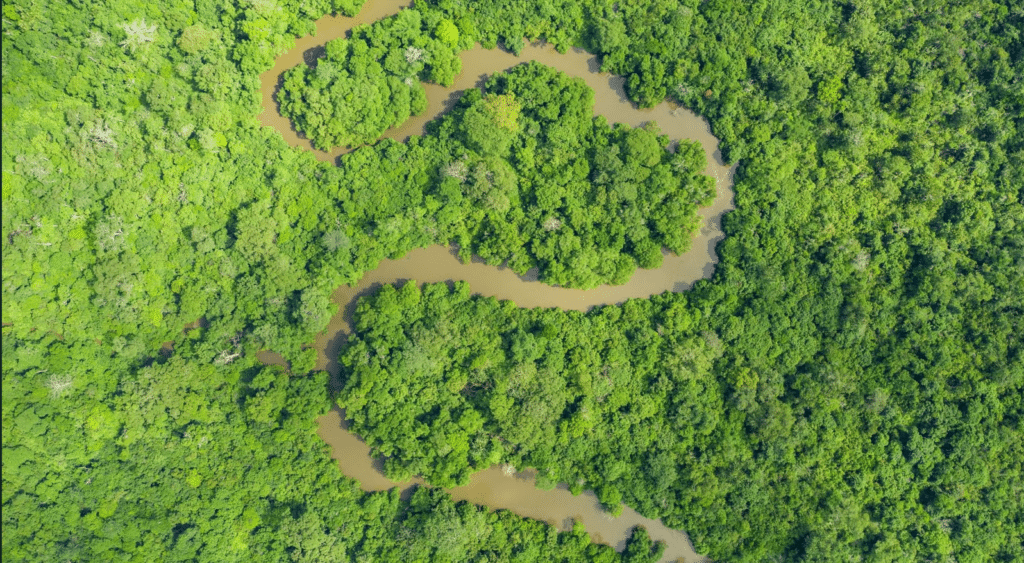saving-atewa-forest
