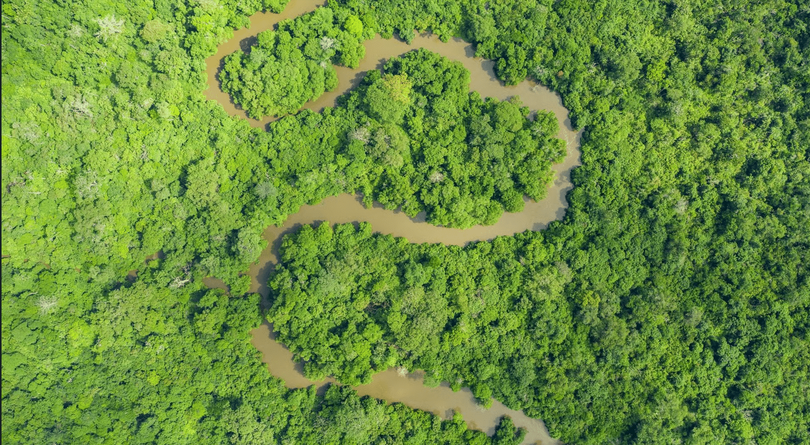 saving-atewa-forest